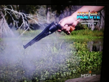 Hola hay una serie de televisión  en la que se cazan Caimanes en los pantanos de florida estados unidos.

en 10