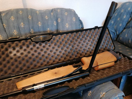 Vendo carabina Gamo Olimpic mc de 4,5 de palanca, diopter anschutz y maletin de transporte , aunque tiene 02