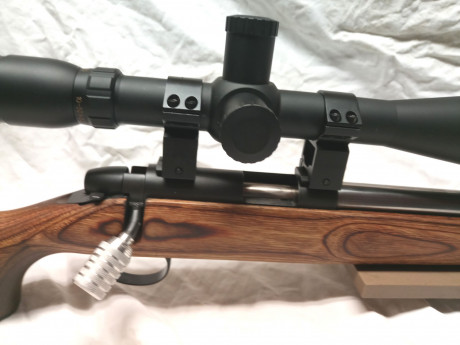  **VENDIDA** 

Pongo a la venta una carabina Remington 22Lr. con cañon  pesado y flutet en inox y cañon 12