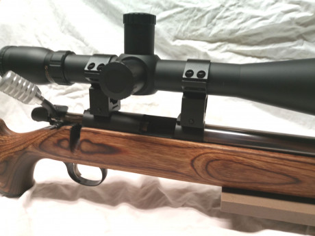  **VENDIDA** 

Pongo a la venta una carabina Remington 22Lr. con cañon  pesado y flutet en inox y cañon 10