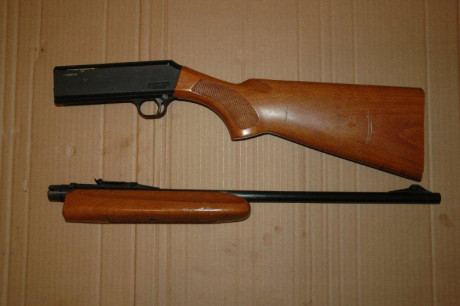 Hola; buenos días. Soy motero y ando buscando una carabina 22 lr desmontable para poder transportarla 11