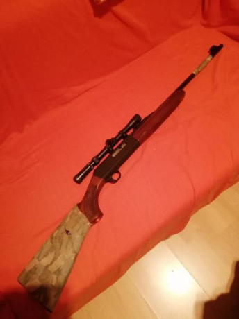 Hola; buenos días. Soy motero y ando buscando una carabina 22 lr desmontable para poder transportarla 10