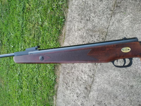 Hola, vendo norica marvic gold calibre 5.5 en perfecto estado , pavonado impecable y brillante sin un 22