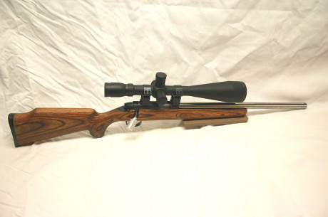  **VENDIDA** 

Pongo a la venta una carabina Remington 22Lr. con cañon  pesado y flutet en inox y cañon 40