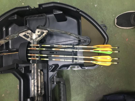 Ballesta Horton Hunter Hd 175 nueva con las etiquetas aún puestas. Se vende con todo lo que se ve en las 22