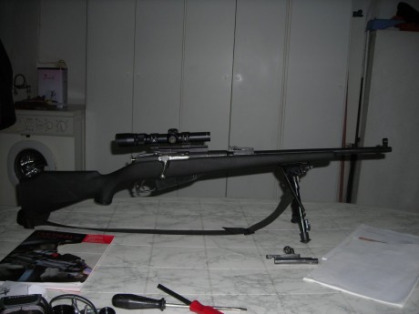 Estoy pensando en un montaje Scout para un rifle.
 Alguien tiene montado un visor tipo Socut ?
 Es practico? 40