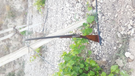 Vendo paralela Ignacio Ugartechea modelo 110 calibre 12 del año 68 con todos los mejores materiales y 01