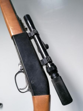 Vendo Carabina Winchester semiautomática modelo 190 calibre 22lr con mira y funda. Precio 100 euros más 01