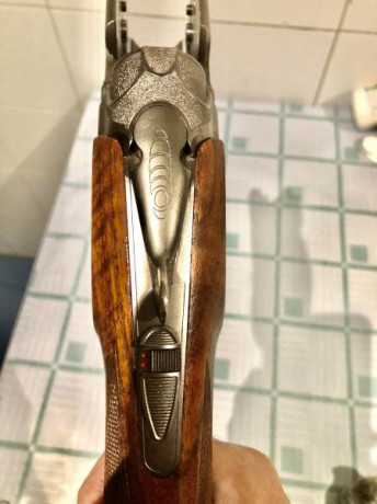 Hola,
Vendo escopeta BERETTA 682 GOLD E (con 2 culatas para ZURDOS Y DIESTROS). Longitud de cañón 71 cm 21