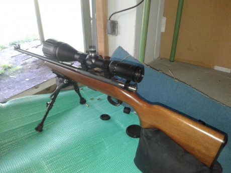 Hola; buenos días. Soy motero y ando buscando una carabina 22 lr desmontable para poder transportarla 42