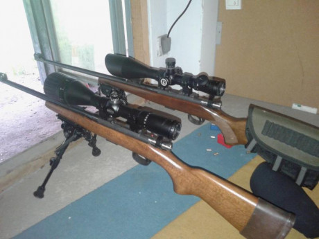 Hola; buenos días. Soy motero y ando buscando una carabina 22 lr desmontable para poder transportarla 41