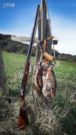  Amigos, viendo que hay interés general en la práctica de la caza con armas de avancarga, abrimos este 170