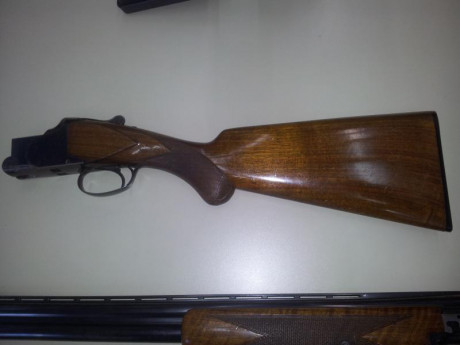 Se vende o cambia escopeta superpuesta Browning B-25 Sporting en perfecto estado.
Necesito un hueco.
400 10
