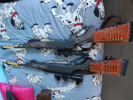 Vendo ruger gun site scout calibre .308 win con dos cargadores de 10 cartuchos. Carril picatinny largo 110
