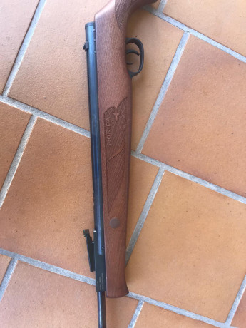 Hola, vendo Norica storm calibre 5.5 último modelo del año 2019 en perfecto estado excepto un pequeño 00