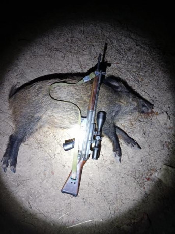 Hola, me gustaria que compartieramos las experiencias, en armas, calibres y municion, referido siempre 20
