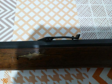 https://www.armeriatrelles.com/tienda/es/rifles/273-pennsylvania.html

Hola vendo este rifle  

 ARDESA 21