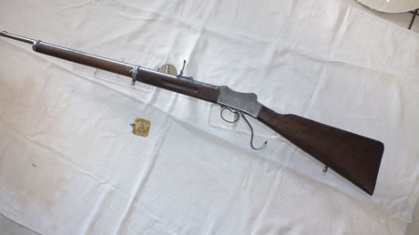 Compro carabinas del .22 antiguas e históricas, o de aspecto «exótico» y poco convencional. No modelos 01