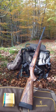 Pongo una foto. Pondré Screenshot_20201026-222503.jpg 00