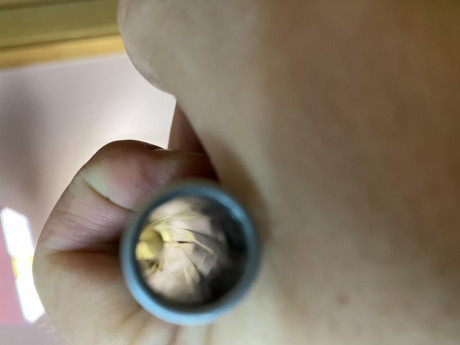   VENDO NORINCO 1911 A1 CALIBRE 45 ACP  

Pistola en perfecto estado de funcionamiento, comprada a un 10