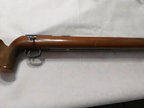 Pongo en venta esta carabina.sistema cerrojo 64
Estado bueno.bastante efectiva y agrupa bien 01