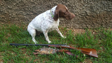  Amigos, viendo que hay interés general en la práctica de la caza con armas de avancarga, abrimos este 130