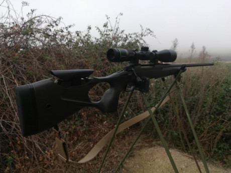 Buenos días compañeros, pues como tenía dos rifles en 3006, he vendido uno y me he agenciado este nuevo 02
