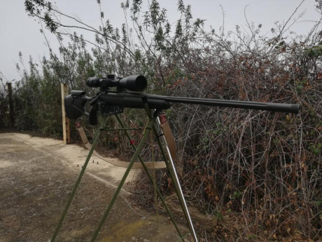 Buenos días compañeros, pues como tenía dos rifles en 3006, he vendido uno y me he agenciado este nuevo 10