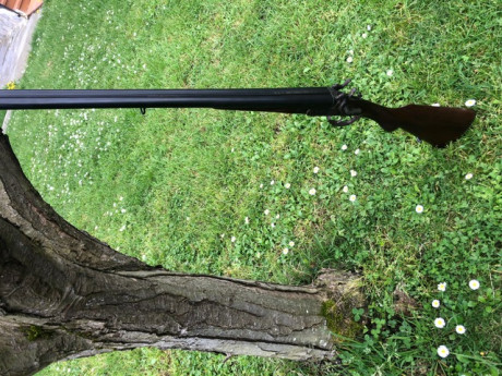 Hola , 
pongo este anuncio de una escopeta de perrillos del calibre 16 
la escopeta marca PR , fabricada 01