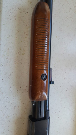 Hola compañeros, tengo una duda sobre el tema de carabinas, nunca he tenido ninguna y se me ha presentado 30