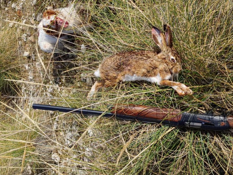 Cazo con una semiautomatica Benelli 121 con choque fijo de 3 estrellas. De normal el primer tiro es saga 60