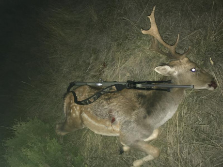 Buenas
Acabo de adquirir un bergara b14 timber de zurdos, en calibre 308w y ando un poco perdido respecto 111