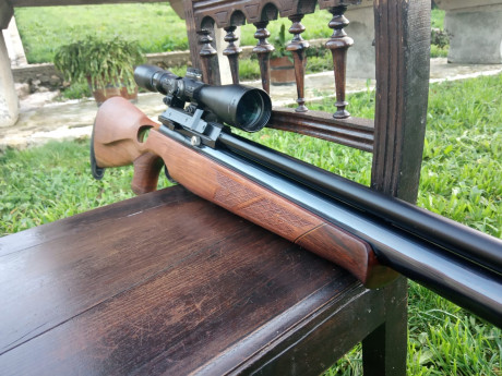 AA s510 thumbole nogal zurdo.
Impecable y sin tuneos. 
Superprecisa.
Calibre 5.5
Visor bsa 3-9×44
500e 02