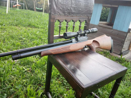 AA s510 thumbole nogal zurdo.
Impecable y sin tuneos. 
Superprecisa.
Calibre 5.5
Visor bsa 3-9×44
500e 01