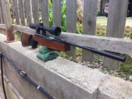 Vendo esta FWB por no poder usarla , me da una pena increíble, porque me costó mucho conseguirla. Está 02