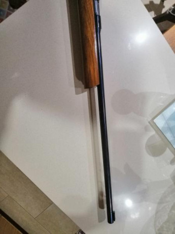 Vendo carabina Anschutz 54 match, cañón pesado de 65 cms de largo. Equipada con dioptero y tunel de la 01