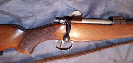Rifle BRNO .375 Holland & Holland Magnum, yo no lo he usado.

Vendo mis armas porque me voy de Europa.

Whatsapp: 00