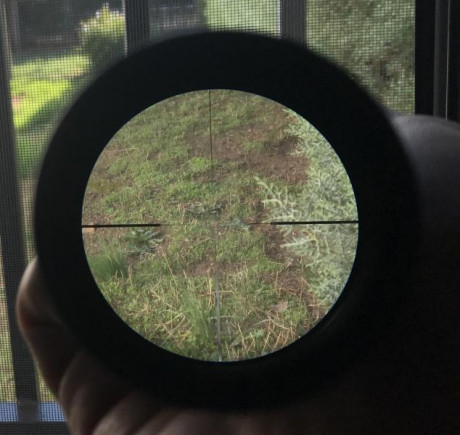 Buenas compañeros, pues eso , que por no usarlo y tenerlo quitado desde hace un año, vendo mi steiner 50