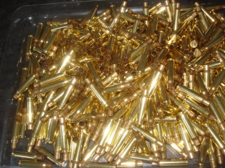 Vendidas las 365 vainas Cineshot by RWS del calibre .308W con un solo tiro y pasadas por Tumbler a 26 02