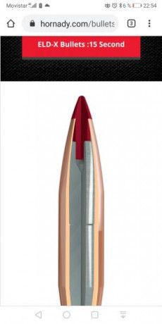 Buenos días compañeros, pues como tenía dos rifles en 3006, he vendido uno y me he agenciado este nuevo 31