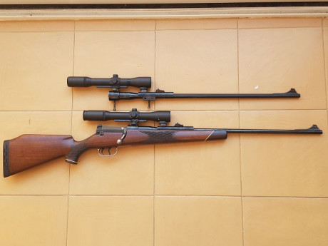 Hola a to2, vendo rifle Mauser 66 del cal. 8x68 con monturas Shuler y visor Smith Bender de 1 3/4 6x y 01