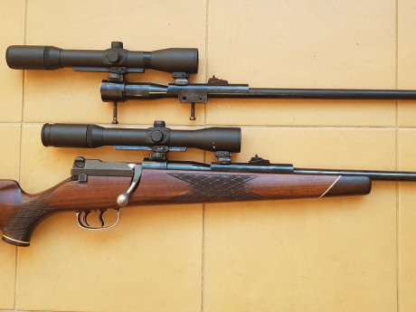 Hola a to2, vendo rifle Mauser 66 del cal. 8x68 con monturas Shuler y visor Smith Bender de 1 3/4 6x y 00