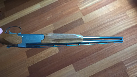 Alguien conoce esta escopeta??? 
Es curioso que tenga cierre tipo krieghoff!!!!
A ver si alguien me puede 31