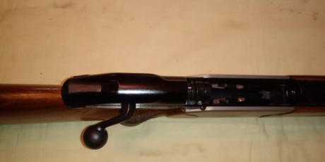 Vendo Blaser R8 standard de madera en 338 WM y cañón adicional en 270WSM.
Todo en buen estado. El rifle 10