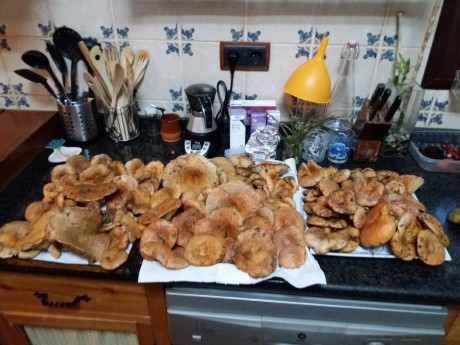 Hoy para comer acelgas hervidas y chuletón de vaca gallega vieja con seis semanas de maduración en cámara 90