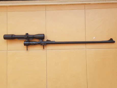 Hola a to2, vendo rifle Mauser 66 del cal. 8x68 con monturas Shuler y visor Smith Bender de 1 3/4 6x y 21