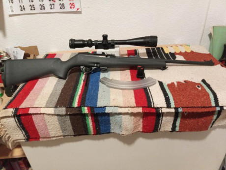 Se vende esta carabina Remington, muy precisa , con visor y tres cargadores, por 250 más Portes.Un poco 00