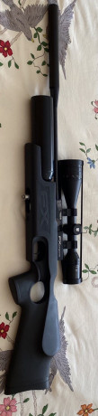 Buenos días compañeros hace menos de un año compre la carabina y la pistola con mucha ilusión y ganas 02