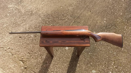 Se vende rifle, es de mi tío. El lo compró nuevo pero solo ha disparado unas 3 cajas. Tiene una pequeña 10
