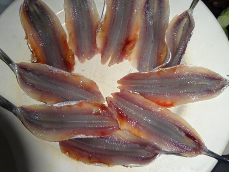 Hoy para comer acelgas hervidas y chuletón de vaca gallega vieja con seis semanas de maduración en cámara 120